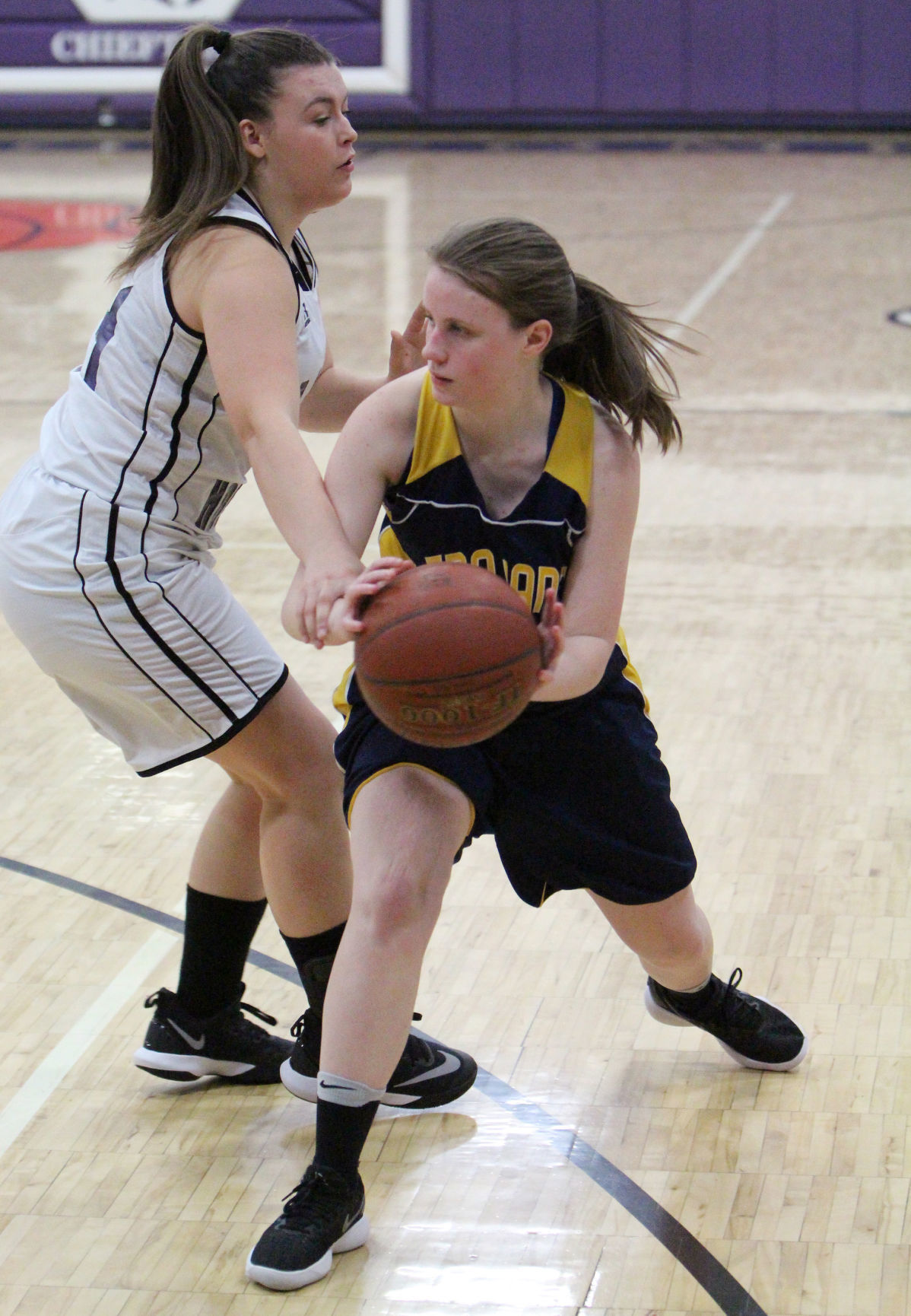 New Auburn at Lake Holcombe girls basketball 2-13-18